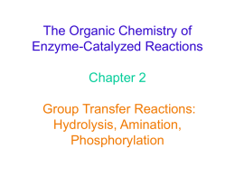 The Organic Chemistry of Enzyme-Catalyzed Reactions Chapter 2 Group Transfer Reactions: Hydrolysis, Amination, Phosphorylation Hydrolysis Reactions Amide Hydrolysis Peptidases (proteases if protein hydrolysis involved) catalyze the hydrolysis of.