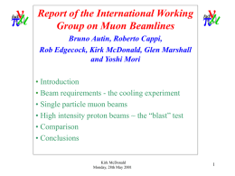 Report of the International Working Group on Muon Beamlines Bruno Autin, Roberto Cappi, Rob Edgecock, Kirk McDonald, Glen Marshall and Yoshi Mori • Introduction • Beam.