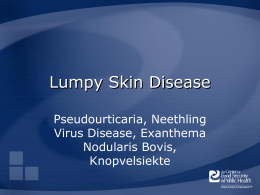 Lumpy Skin Disease Pseudourticaria, Neethling Virus Disease, Exanthema Nodularis Bovis, Knopvelsiekte Overview • Organism • Economic Impact • Epidemiology • Transmission • Clinical Signs • Diagnosis and Treatment • Prevention and.
