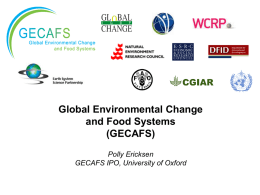 Global Environmental Change and Food Systems (GECAFS) Polly Ericksen GECAFS IPO, University of Oxford.