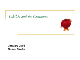 GMOs and the Commons  January 2008 Susan Skalka GMOs: Case Study French President Nicolas Sarkozy bans strain of GM corn, citing principle of precaution.  France’s Provisional.