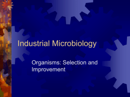 Industrial Microbiology Organisms: Selection and Improvement Recap on Thursday’s lecture  Large  and Small Scale Processes  Improving the Process- Titre, Yield and VP  Primary and.