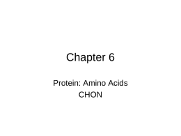 Chapter 6 Protein: Amino Acids CHON Objectives for Chapter 6 • Describe how proteins are created from amino acids. • Explain the process of protein.