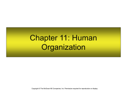 Chapter 11: Human Organization  Copyright © The McGraw-Hill Companies, Inc. Permission required for reproduction or display.