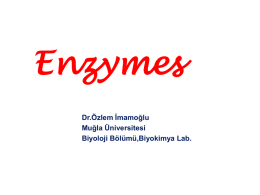 Enzymes Dr.Özlem İmamoğlu Muğla Üniversitesi Biyoloji Bölümü,Biyokimya Lab. ENZİMLER *Enzimler,proteinlerden yapılmışlardır ve doğal olarak yalnız canlılar tarafından sentezlenirler. * Enzimler; etki ettiği maddeye SUBSTRAT ve bu maddeni.