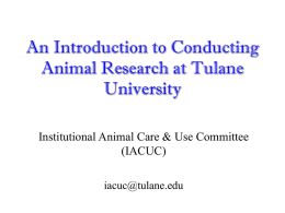 An Introduction to Conducting Animal Research at Tulane University Institutional Animal Care & Use Committee (IACUC) iacuc@tulane.edu.