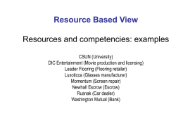 Resource Based View  Resources and competencies: examples CSUN (University) DIC Entertainment (Movie production and licensing) Leader Flooring (Flooring retailer) Luxoticca (Glasses manufacturer) Momentum (Screen repair) Newhall Escrow.