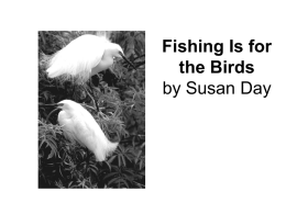 Fishing Is for the Birds by Susan Day 7 What kind of birds does the author discuss first? Ο A.