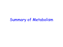 Summary of Metabolism Basic Strategies of Catabolic Metabolism • Generate ATP • Generate reducing power • Generate building blocks for biosynthesis.