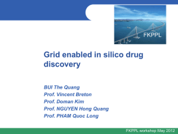 Grid enabled in silico drug discovery BUI The Quang Prof. Vincent Breton Prof. Doman Kim Prof.