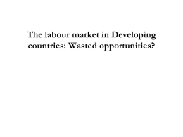 The labour market in Developing countries: Wasted opportunities? The labour market in Developing countries: Wasted opportunities? Lecture Outline/Questions (1) Agricultural Sector and labour (2) Connections.