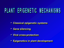 • Classical epigenetic systems  • Gene silencing • Viral cross-protection  • Epigenetics in plant development.