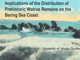 Implications of the Distribution of Prehistoric Walrus Remains on the Bering Sea Coast  Erica H University of Alaska Southea.