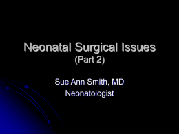 Neonatal Surgical Issues (Part 2) Sue Ann Smith, MD Neonatologist Anatomic survey (cont) Intestinal obstructions  Genitourinary  Abdominal masses  Inguinal hernia  Testicular torsion  Neurosurgical 