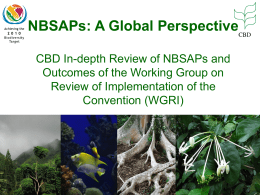 NBSAPs: A Global Perspective CBD In-depth Review of NBSAPs and Outcomes of the Working Group on Review of Implementation of the Convention (WGRI)