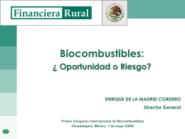 Biocombustibles: ¿ Oportunidad o Riesgo?  ENRIQUE DE LA MADRID CORDERO Director General Primer Congreso Internacional de Biocombustibles (Guadalajara, México.