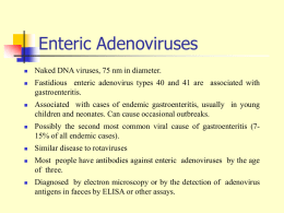 Enteric Adenoviruses   Naked DNA viruses, 75 nm in diameter.    Fastidious enteric adenovirus types 40 and 41 are associated with gastroenteritis.    Associated with cases of.