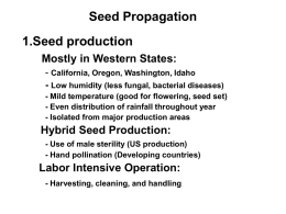 Seed Propagation 1.Seed production Mostly in Western States: - California, Oregon, Washington, Idaho - Low humidity (less fungal, bacterial diseases) - Mild temperature (good for.