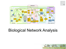 Biological Network Analysis The genomic era  Human genome sequence “completed”, Feb 2001