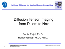 National Alliance for Medical Image Computing  Diffusion Tensor Imaging: from Dicom to Nrrd Sonia Pujol, Ph.D. Randy Gollub, M.D., Ph.D. Surgical Planning Laboratory -1-  http://www.slicer.org  Brigham and Women’s.