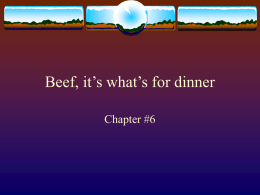 Beef, it’s what’s for dinner Chapter #6 What is a Breed? a group of animals that have certain traits in common color size body structure place of.