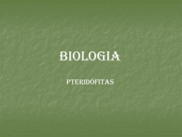 BIOLOGIA PTERIDÓFITAS Pteridófita Habitat Terra, locais úmidos e sombreados. Algumas em água doce, mas nunca no mar. Características Gerais - 1os vegetais vasculares ou traqueófitos. - Rápido.