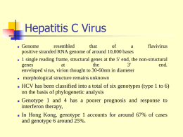Hepatitis C Virus             Genome resembled that of a flavivirus positive stranded RNA genome of around 10,000 bases 1 single reading frame, structural genes at the 5' end, the.