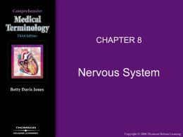 CHAPTER 8  Nervous System Nervous System Overview • Nervous System – Brain – Spinal cord – Nerves  • Functions of nervous system – Regulates and coordinates all.