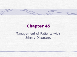 Chapter 45 Management of Patients with Urinary Disorders Lower Urinary Tract Infections Cystitis (inflammation of the urinary bladder), Prostatitis (inflammation of the prostate gland), and Urethritis (inflammation.