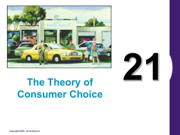 The Theory of Consumer Choice  Copyright©2004 South-Western What’s Important in Chapter 21 • Budget Constraint & its Shape • Consumer Preferences and the Shape.
