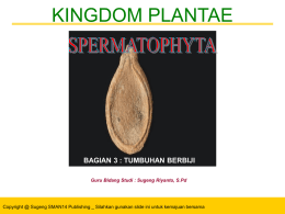 KINGDOM PLANTAE  BAGIAN 3 : TUMBUHAN BERBIJI Guru Bidang Studi : Sugeng Riyanto, S.Pd  Copyright @ Sugeng SMAN14 Publishing _ Silahkan gunakan slide.