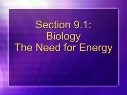 Section 9.1: Biology The Need for Energy Why We have a Need for Energy   Active Transport  Cell Division  Movement of Flagella and cilia 