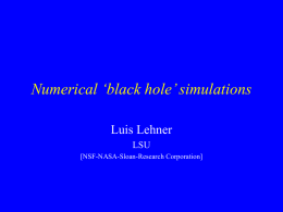 Numerical ‘black hole’ simulations Luis Lehner LSU [NSF-NASA-Sloan-Research Corporation] Overview • Status of ‘basic’ efforts – What we know & would like to know at.