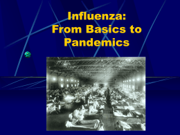 Influenza: From Basics to Pandemics Why Worry? Why Plan? Influenza is Serious! •Annual deaths: 36,000 •Hospitalizations: >200,000  Who is at greatest risk for serious complications? Persons Persons  65 and.