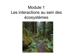 Module 1 Les interactions au sein des écosystèmes Questions • Qu’est-ce qu’un habitat? Le lieu où vit un organisme • Qu’est-ce qu’un animal a besoin.