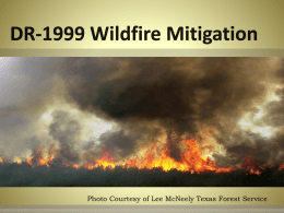 Photo Courtesy of Lee McNeely Texas Forest Service Sustained actions taken to reduce or eliminate long-term risk to people and property.