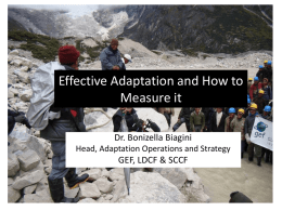 Effective Adaptation and How to Measure it Dr. Bonizella Biagini Head, Adaptation Operations and Strategy  GEF, LDCF & SCCF.