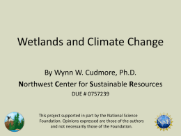 Wetlands and Climate Change By Wynn W. Cudmore, Ph.D. Northwest Center for Sustainable Resources DUE # 0757239  This project supported in part by the.
