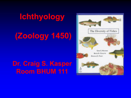 Ichthyology (Zoology 1450)  Dr. Craig S. Kasper Room BHUM 111 History of Ichthyology.