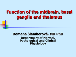 Function of the midbrain, basal ganglia and thalamus  Romana Šlamberová, MD PhD Department of Normal, Pathological and Clinical Physiology.