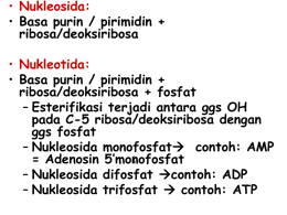 • Nukleosida: • Basa purin / pirimidin + ribosa/deoksiribosa  • Nukleotida: • Basa purin / pirimidin + ribosa/deoksiribosa + fosfat – Esterifikasi terjadi antara ggs OH pada.
