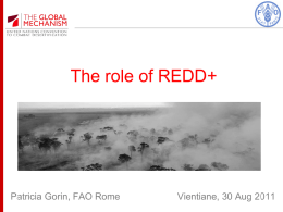The role of REDD+  Patricia Gorin, FAO Rome  Vientiane, 30 Aug 2011