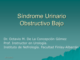 Síndrome Urinario Obstructivo Bajo Dr. Octavio M. De La Concepción Gómez Prof. Instructor en Urología. Instituto de Nefrología.