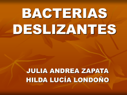 BACTERIAS DESLIZANTES JULIA ANDREA ZAPATA HILDA LUC&Iacute;A LONDO&Ntilde;O PRINCIPALES G&Eacute;NEROS 1. CITOFAGALES BACILOS CON FILAMENTOS NO SEPTADOS          Cytophaga Flexibacter Lysobacter Sporocytophaga Capnocytophaga Saprospira Microscrilla  BACILOS CON FILAMENTOS SEPTADOS Beggiatoa Thiothrix Thioploca Leucothrix Simonsiella Vitreoscilla         PELONEMAS     Pelonema Peloploca Desmanthos.