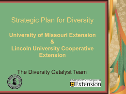 Strategic Plan for Diversity University of Missouri Extension & Lincoln University Cooperative Extension The Diversity Catalyst Team.