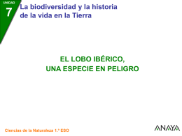 UNIDAD  La biodiversidad y la historia de la vida en la Tierra  EL LOBO IBÉRICO, UNA ESPECIE EN PELIGRO  Ciencias de la Naturaleza 1.º ESO.