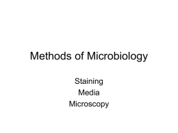 Methods of Microbiology Staining Media Microscopy Staining • Increase contrast of microorganisms • Classified into types of stains – Simple stain: one dye, one step • Negative.
