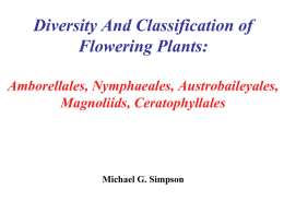 Diversity And Classification of Flowering Plants: Amborellales, Nymphaeales, Austrobaileyales, Magnoliids, Ceratophyllales  Michael G. Simpson.