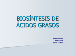 BIOSÍNTESIS DE ÁCIDOS GRASOS Henar Alonso Ana García Diana Guallar • •  Los ácidos grasos Biosíntesis de 16:0 • • • •  • •  Localización de la ruta Etapas Enzimas clave Balance energético  Biosíntesis de otros AG Regulación e.