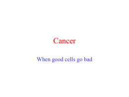 Cancer When good cells go bad What is cancer? • Caner is defined as the continuous uncontrolled growth of cells. • A tumor is.